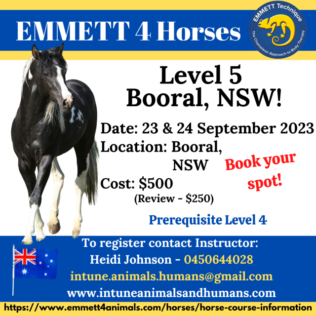 Horse Level 5- Booral - NSW - 23 & 24 September 2023